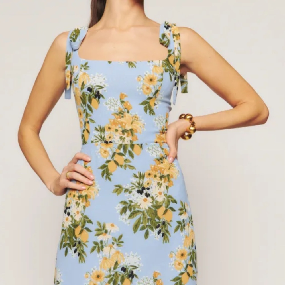 Besse dress reformation